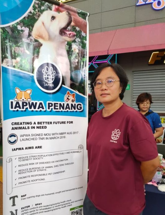 星期天头条:流浪狗课题 Fz100456983418