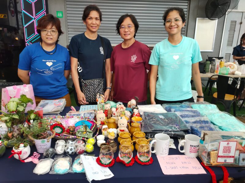 星期天头条:流浪狗课题 Fz100456983412