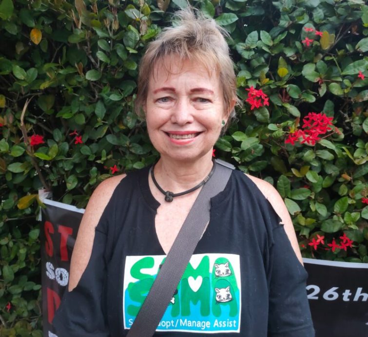 星期天头条:流浪狗课题 Fz100456983419