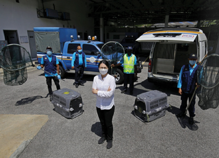 星期天头条:流浪狗课题 Fz100456983417