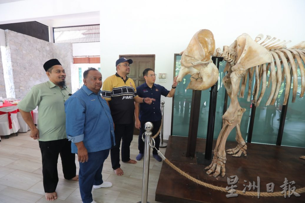 林添顺:柔州拟设置21个食物库,供野象吃饱喝足后返回森林