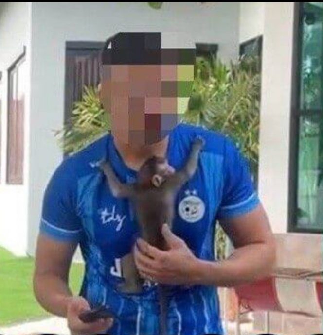 **看世界(只供网)**高调带受保护猕猴逛街惹祸,男子被泰野动局逮捕