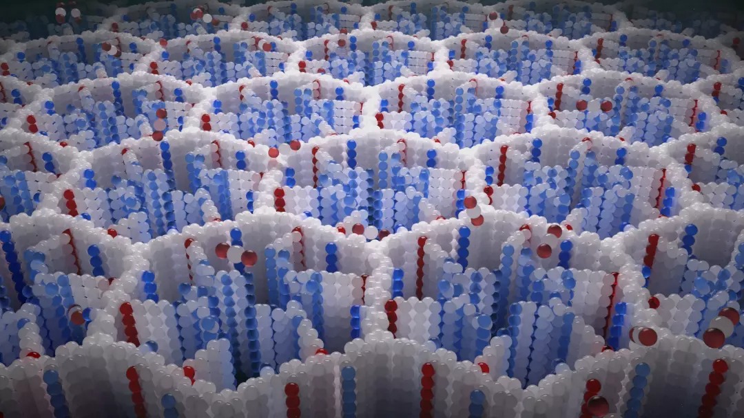 绿量无穷|科技新突破: 新型粉末吸碳能力超强