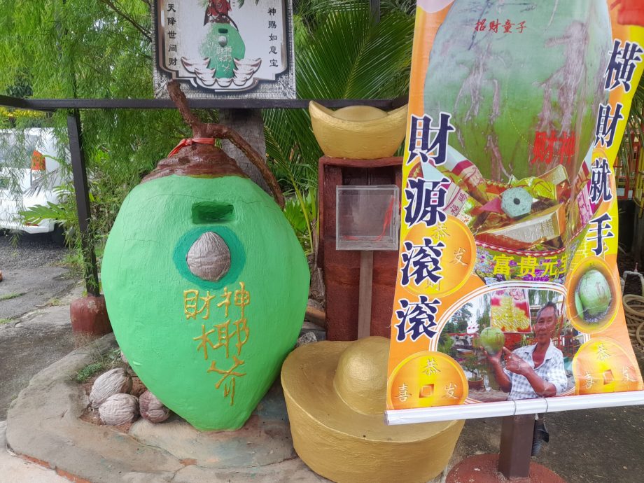 绿量(大北马)三圣文化村各种元素,近看都是再循环回收品
