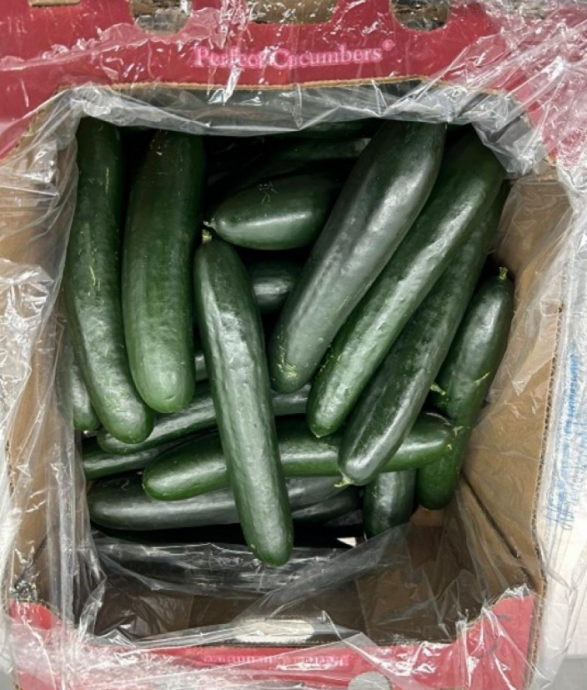 美、加小黄瓜爆发沙门氏菌食物中毒 68人染病