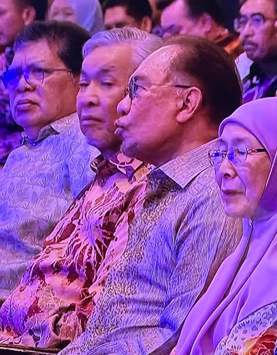 莫哈末沙育:巫统将坚定支持安华 “扎希若任相无需惊讶”