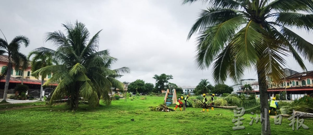 获拨40万 以休闲为主 打造班台昌明大马公园