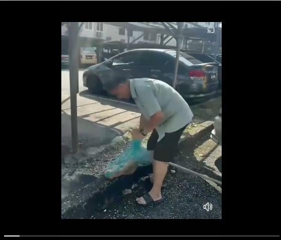 虐猫视频疯传网络,警方调查男子虐待流浪猫案件