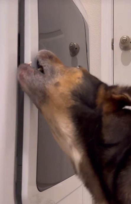 视频|烘干机总是无故故障 摄像头揭露元凶是它!