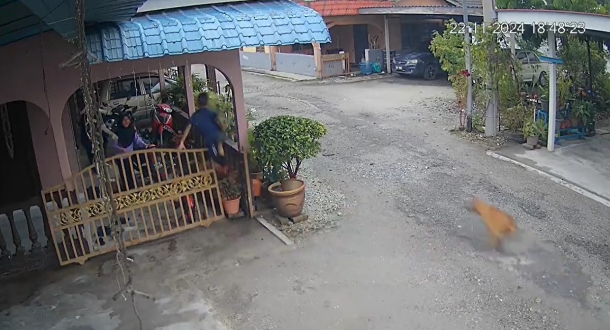 视频|男童被狗追慌不择路 飞跃铁门惨摔手骨折住院