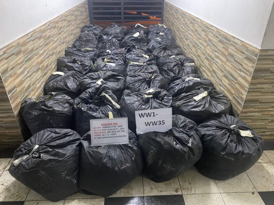 警捣民宅捕6男 起3000包哥冬水350公斤哥冬叶