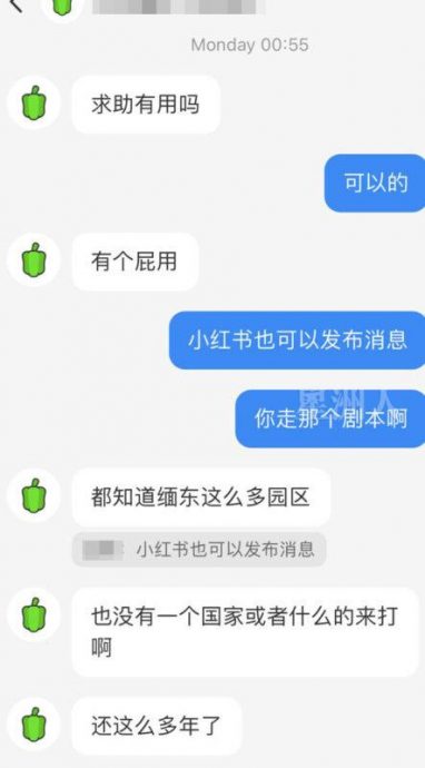 补 星期天头条(57277078) 20241109153916