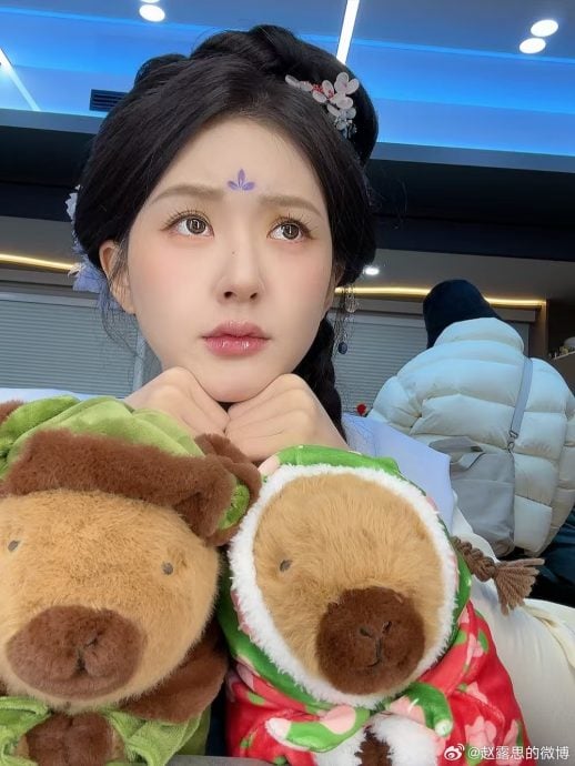 赵露思直播被毒舌动脸 自贴恶搞图高EQ回应