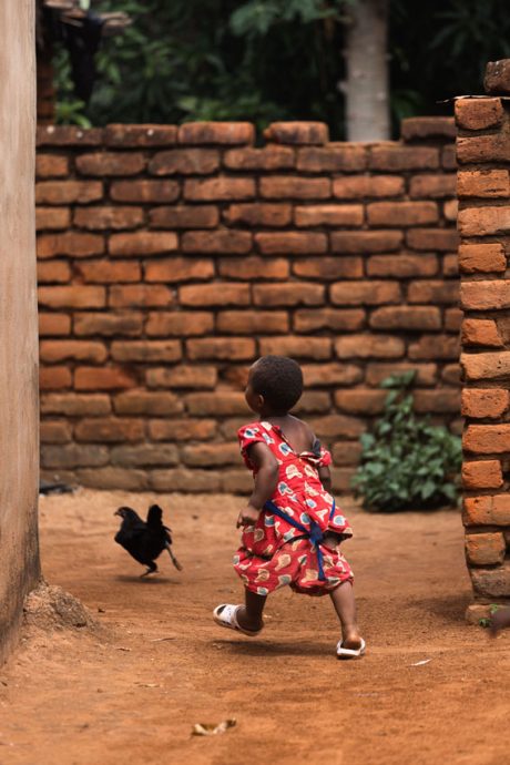 陈子韩/简陋的一餐