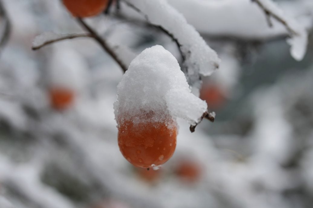 首尔初雪罕见积雪达20分分 全市发布大雪预警