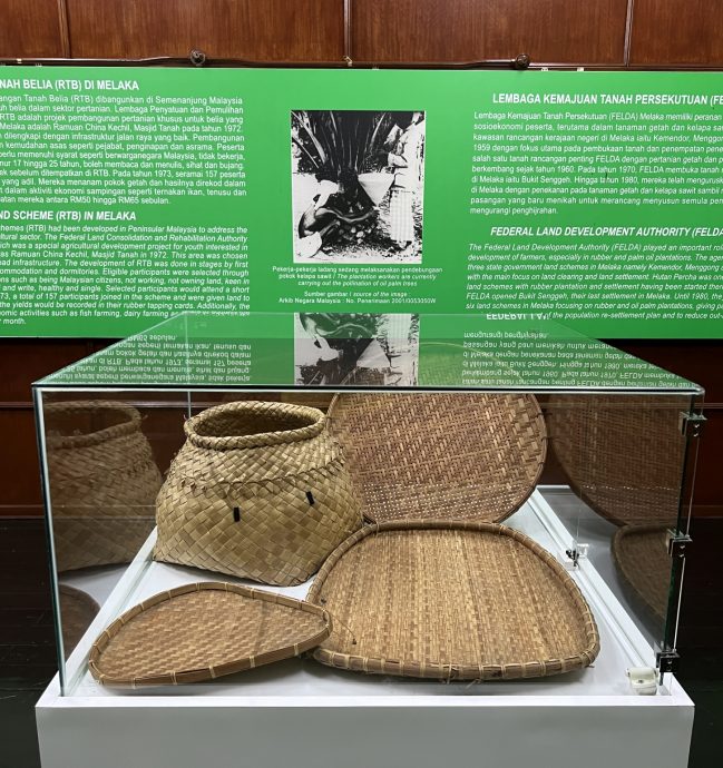 (古城封底主文)《用眼睛去旅游》:农业博物馆(下篇)