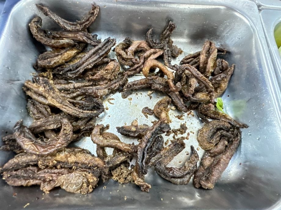 (古城封底主文)议员好介绍-陈志成(亚朋酿豆腐)