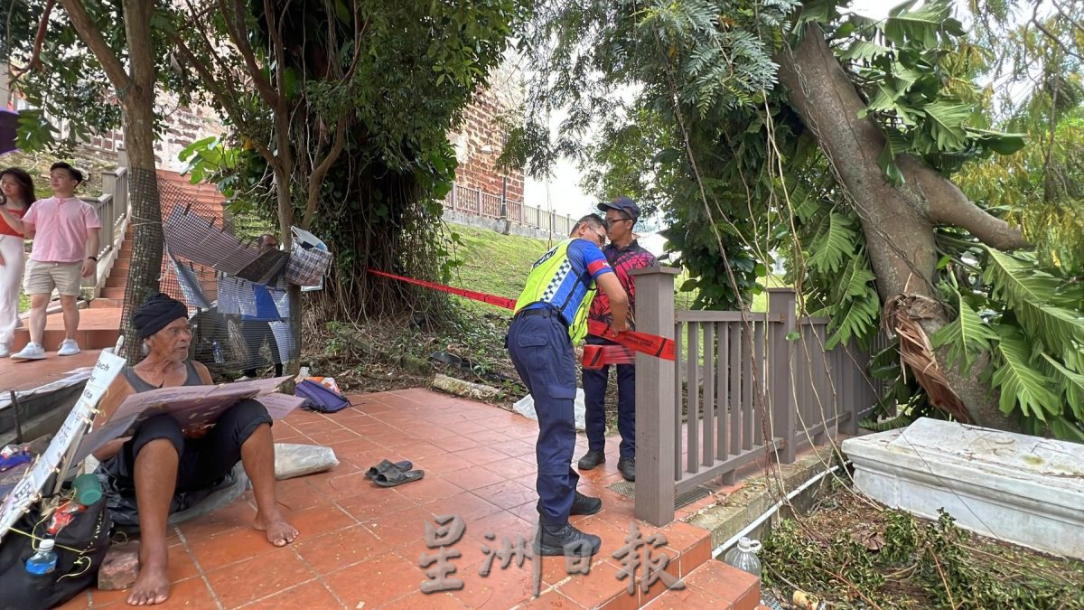 (古城封面主文)圣保罗山大树枝干断裂·压毁栏杆古墓 当局快清理