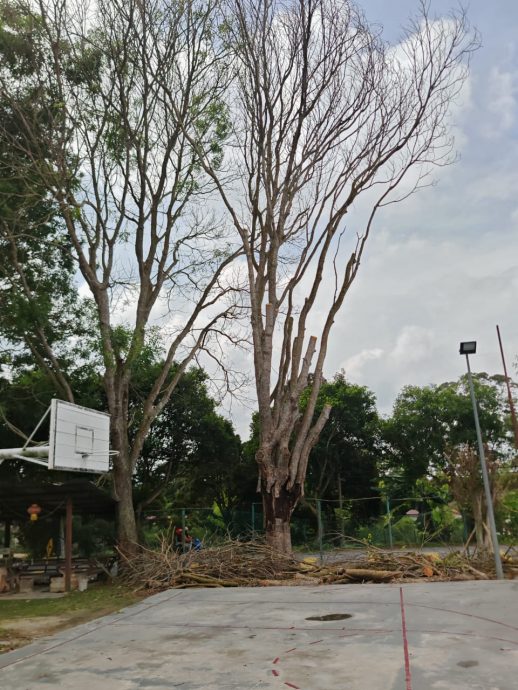 (古城第二版主文)“牛沟”充当排水沟部分沟渠已崩塌,丁赖村委会盼市政厅提升为洋灰沟渠