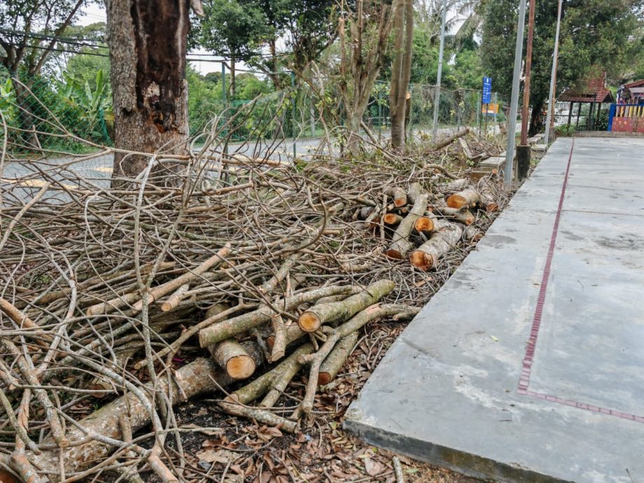 (古城第二版主文)“牛沟”充当排水沟部分沟渠已崩塌,丁赖村委会盼市政厅提升为洋灰沟渠