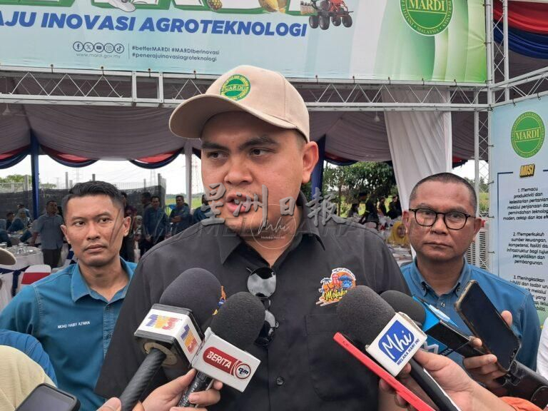 (古城第四版副文)MARDI推出格西当新稻米品种 甲冀提高稻米收成