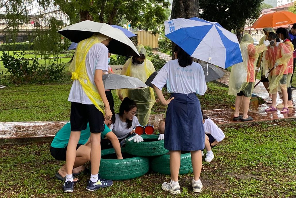(大北马)年轻人/中华中学 绿化运动(主文)