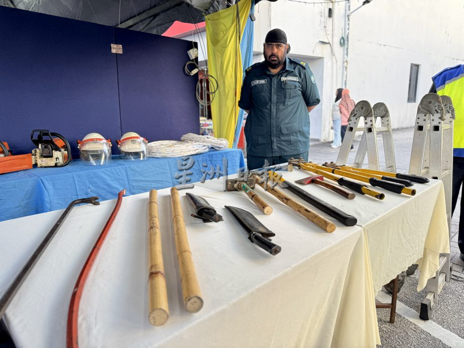 (大北马)槟岛市政厅“2024年公共教育日”活动