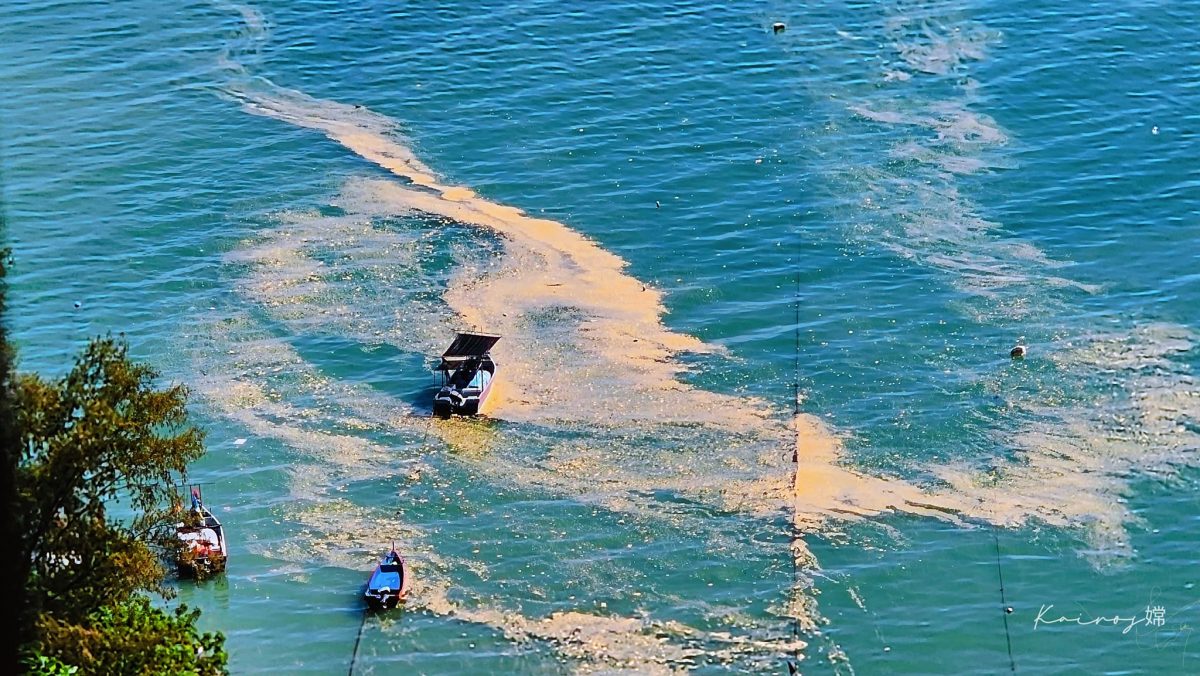 (大北马)水上清真寺附近海域,漂浮黄褐色疑似污染物