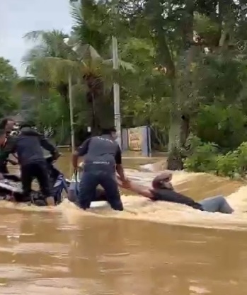 (大北马)骑士涉水险被急流冲走。