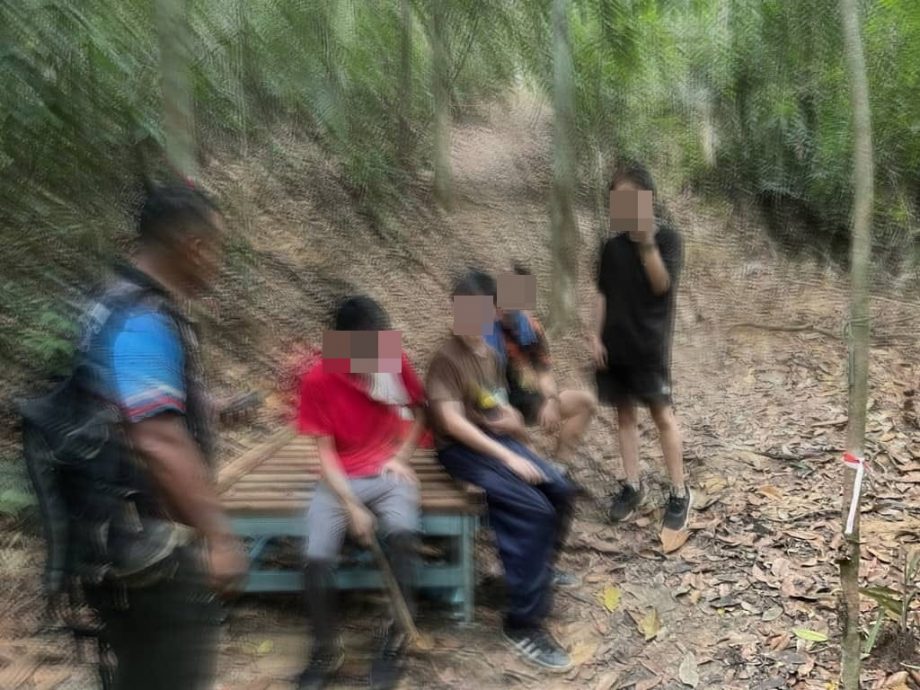 (已签发)柔:4青年私闯埔来山 登山道迷路获救