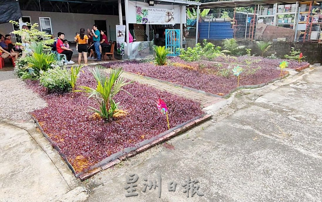 古来新村启动昌明社区繁荣计划 村委盼打造草药园