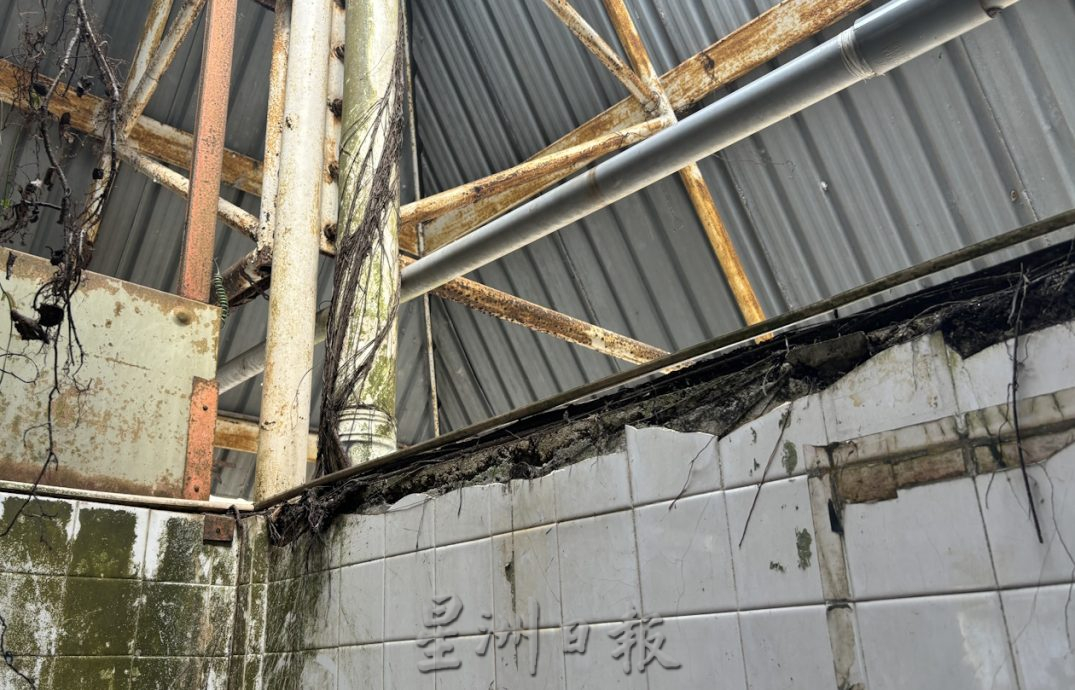 (已签发)柔:**版二头**猪肉档屋顶被树木压穿逾一年 商贩盼市议会清理维修