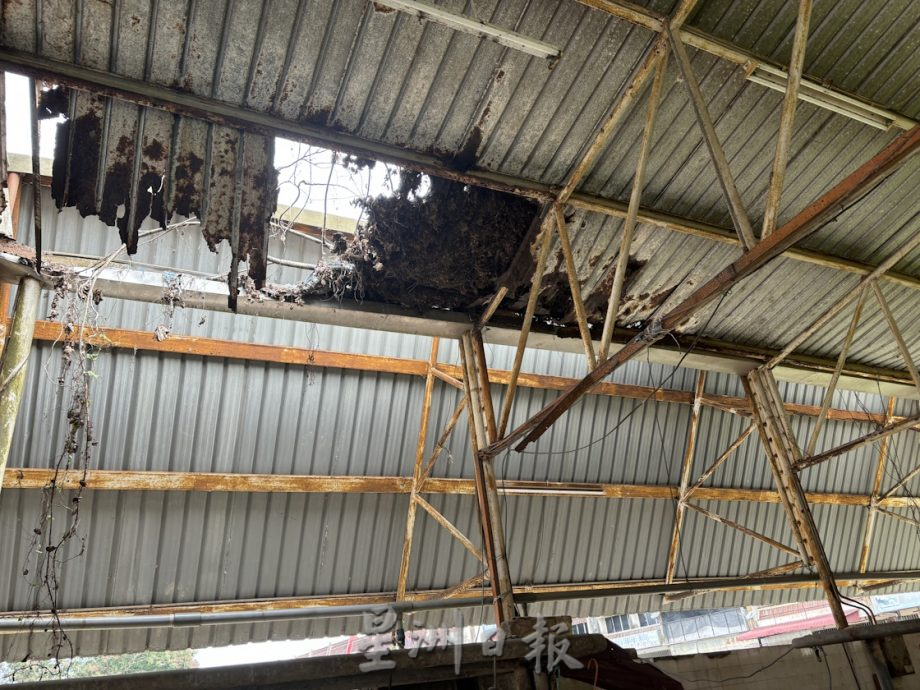 (已签发)柔:**版二头**猪肉档屋顶被树木压穿逾一年 商贩盼市议会清理维修