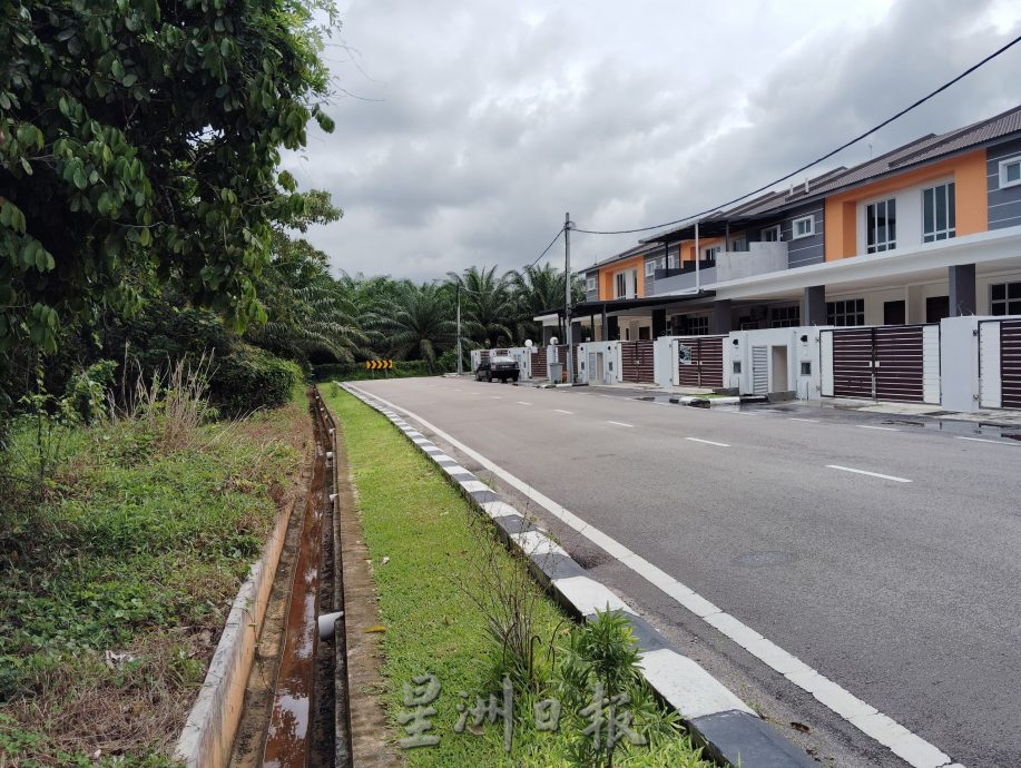 (已签发)柔:**版头**新住宅区再发生偷窃案 3住家水表被盗
