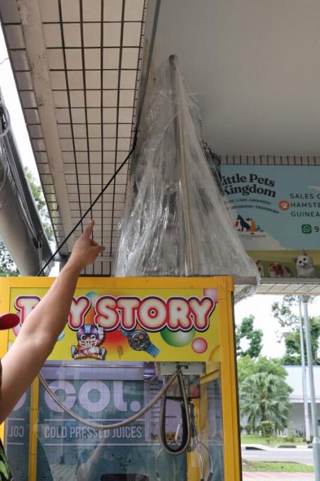 (已签发)柔:狮城二三事:3少年推倒娃娃机 涉偷拉布布 店家怒报警