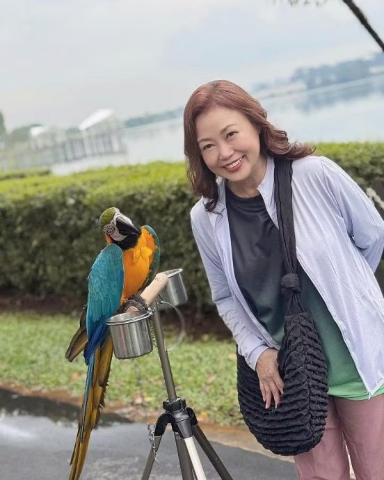 (已签发)柔:狮城二三事:向云拍新剧圆侠女梦 被鹦鹉啄手又扯发