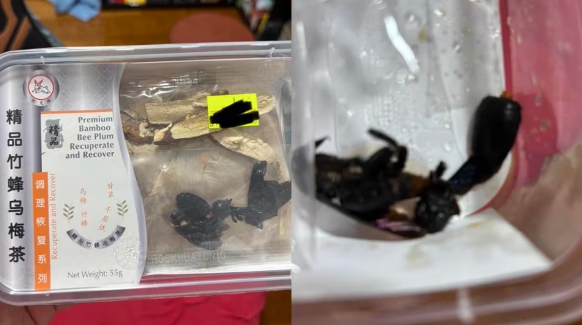 (已签发)柔:狮城二三事:润喉茶里有蜜蜂吓坏顾客 中药行:那是合格中药