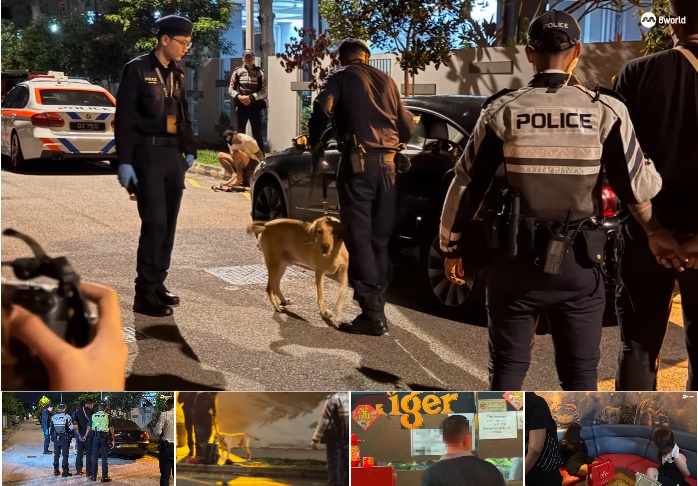 (已签发)柔:狮城二三事:警扫荡娱乐场所,15人落网