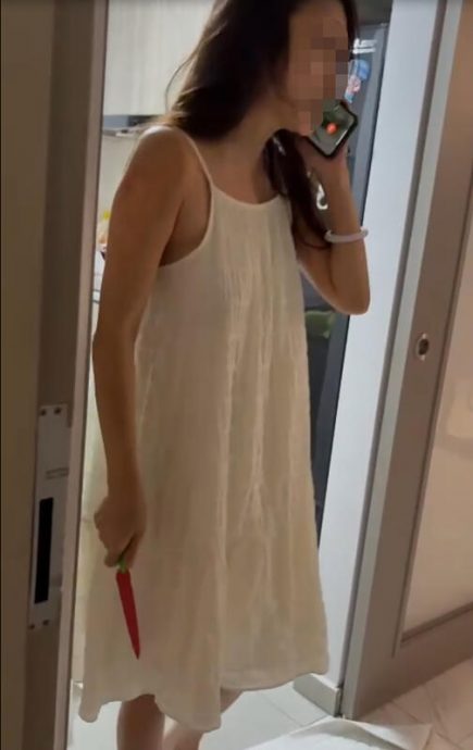 (已签发)柔:狮城二三事:追讨租屋订金爆冲突 女房东亮刀被捕 租客涉伤人助查