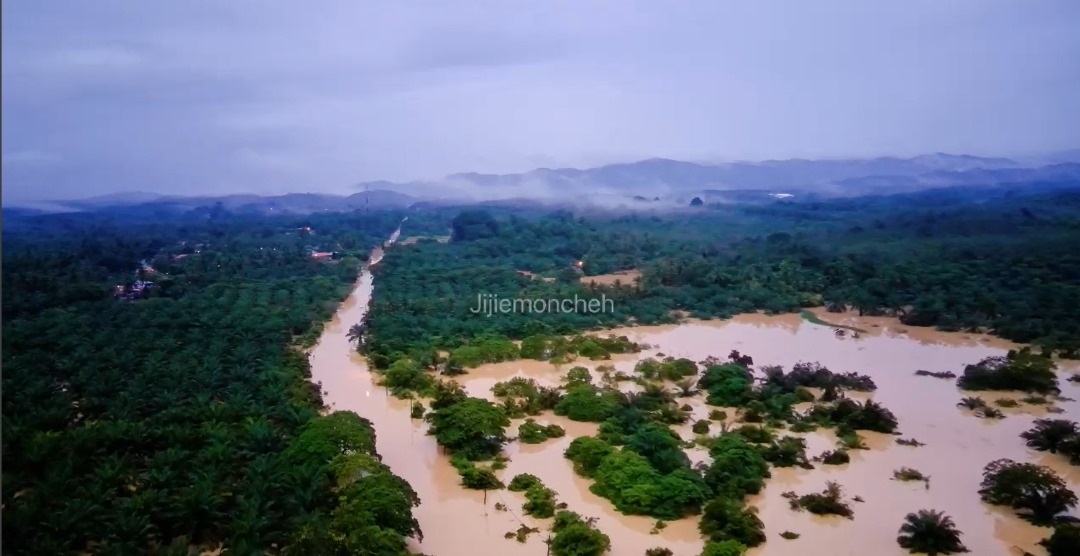 ns淡边:长命雨来袭,淡边多处沦陷