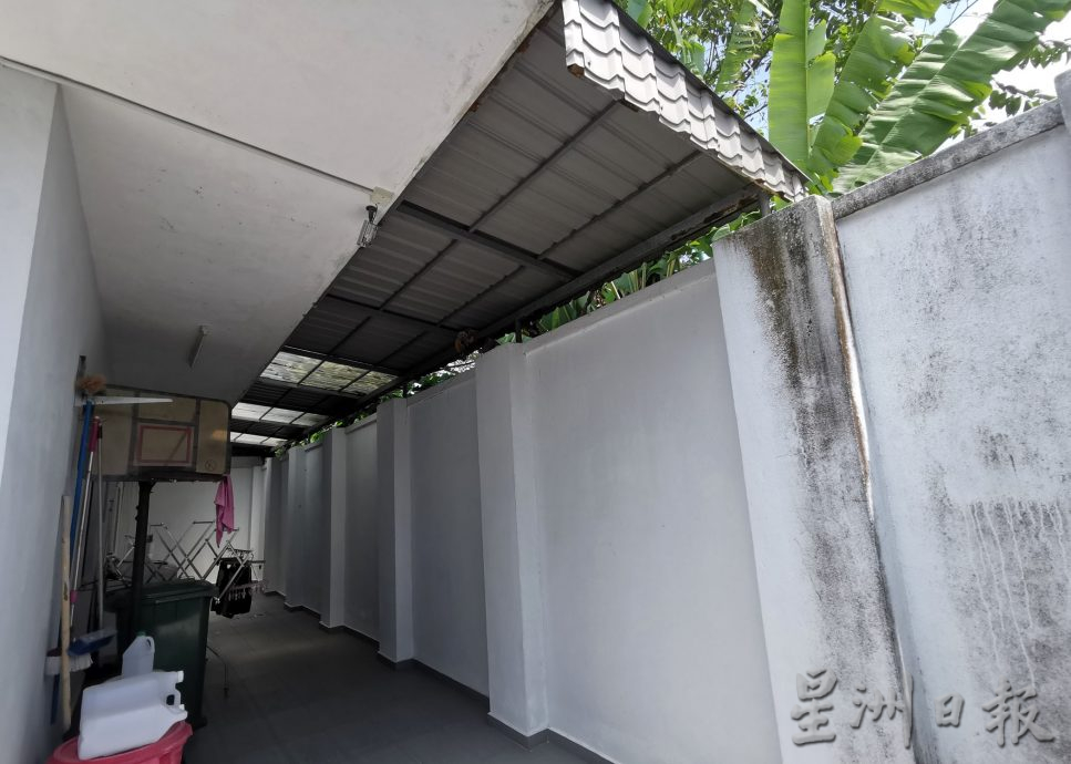 NS芙蓉/屋后一墙之隔就是树林 蛇虫常闯屋 居民住不安