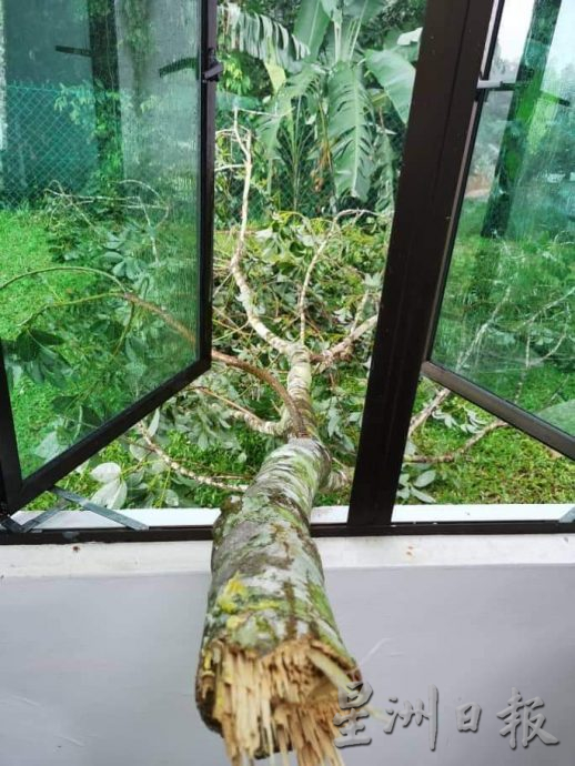 NS芙蓉/屋后一墙之隔就是树林 蛇虫常闯屋 居民住不安