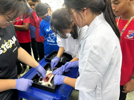 1/1东年轻人版:STEAM 嘉年华 开拓学生视野