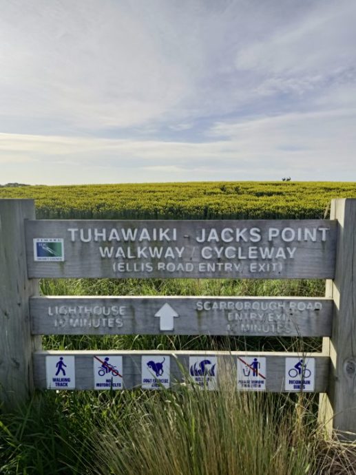 【纽西兰】我在但尼丁,却像走入了爱丁堡