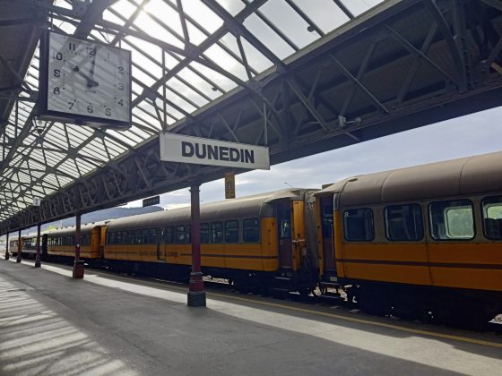 【纽西兰】我在但尼丁,却像走入了爱丁堡