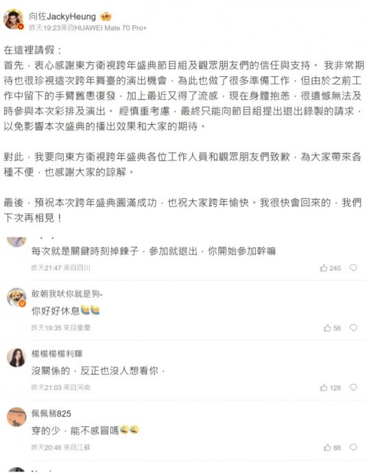 临时退出中国跨年节目 向佐道歉网民不买单