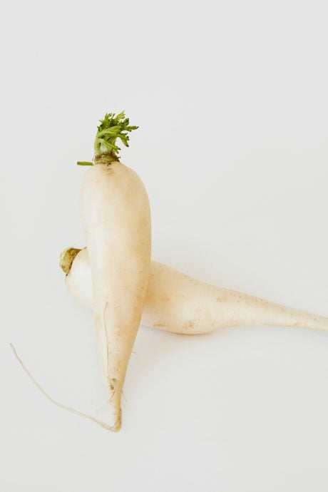 供星洲网:尖还是圆的甜?白萝卜逆境生长味苦 “一招”轻松去苦