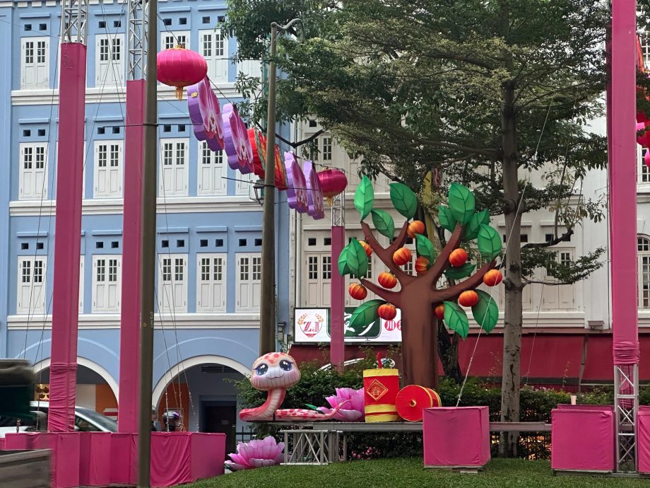 供星洲网:牛车水蛇年装饰登场!大眼蛇金钱树获赞“可爱”