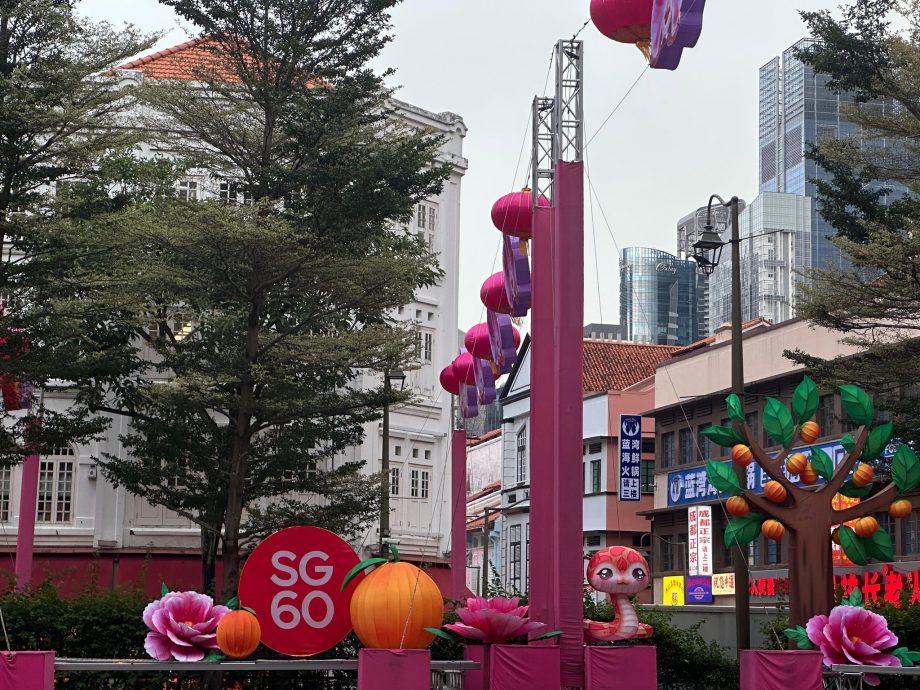 供星洲网:牛车水蛇年装饰登场!大眼蛇金钱树获赞“可爱”