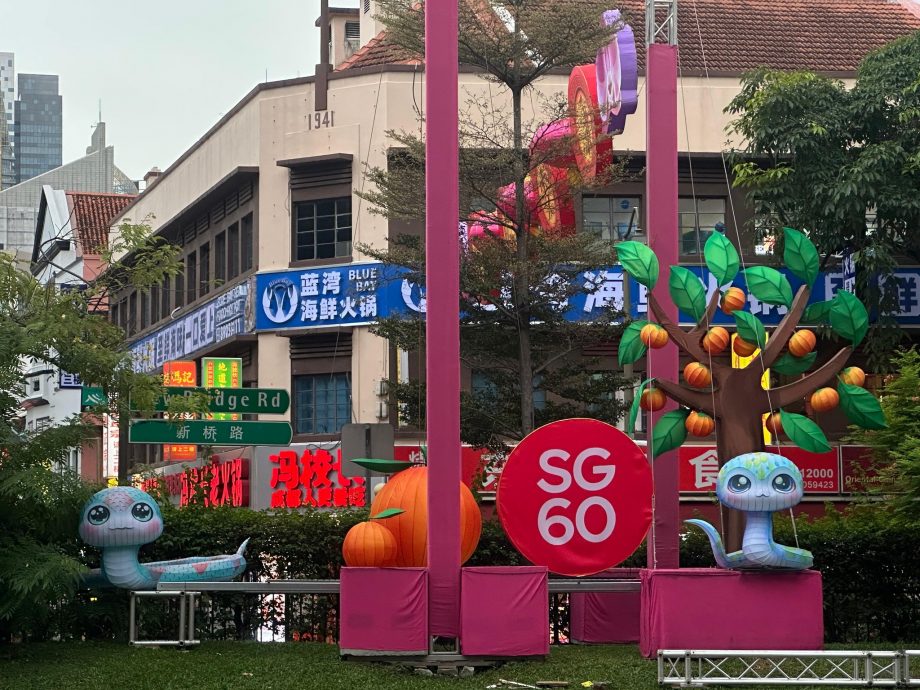 供星洲网:牛车水蛇年装饰登场!大眼蛇金钱树获赞“可爱”